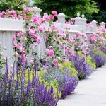 18 Splendid Front Yard Landscaping Ideas and Garden Design