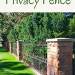 37 Amazing Privacy Fence Ideas and Design for Outdoor Space