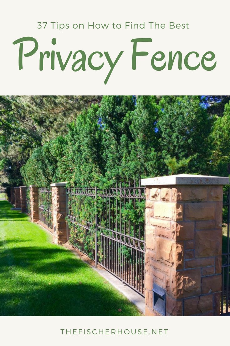 Green Privacy Screen Design