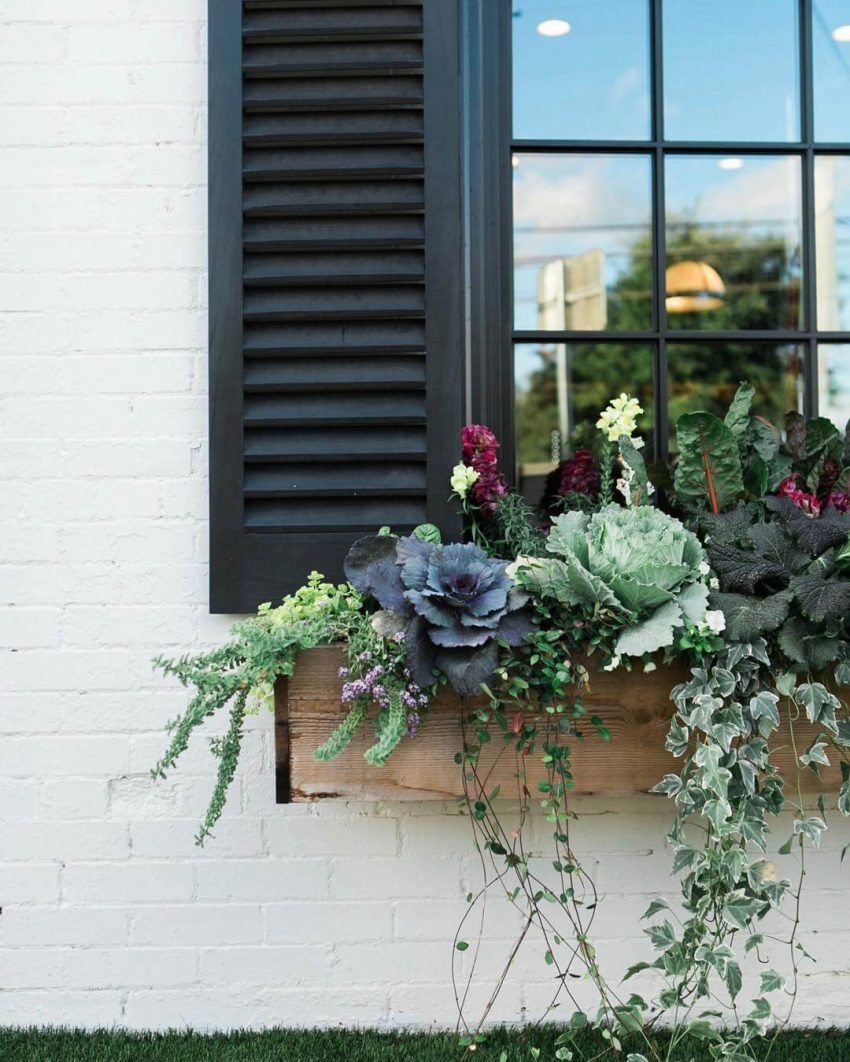 17 Beautiful Window Box Ideas that Will Make Your Window More Stylish