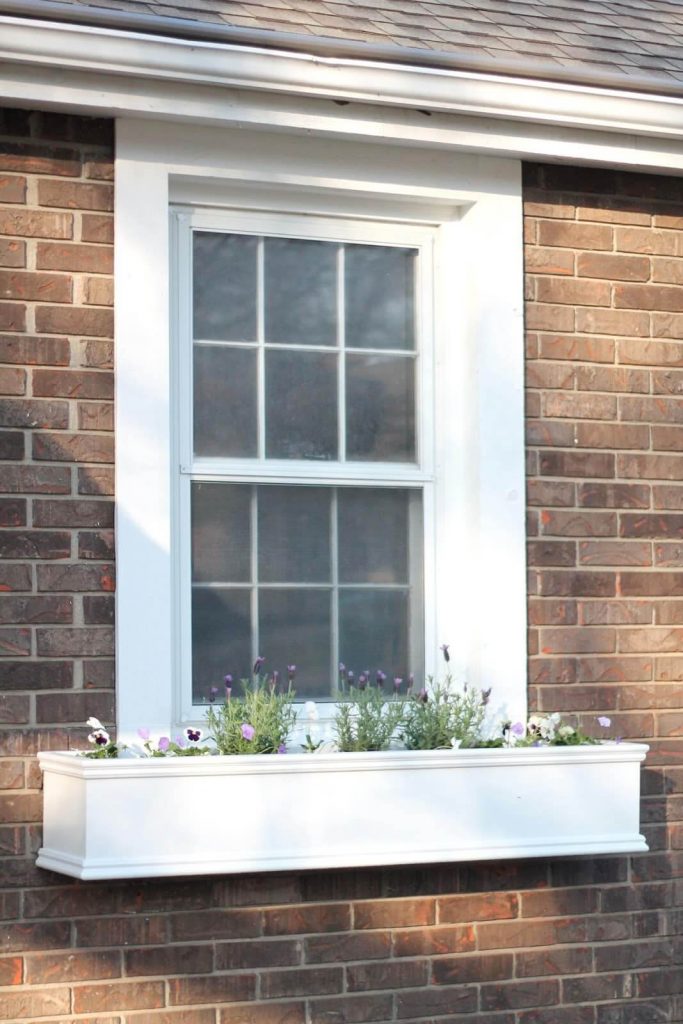 window box ideas for spring window box ideas for spring