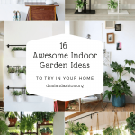 21 Awesome Indoor Garden Ideas for Wannabe Gardeners in Small Spaces