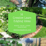 14 Creative Lawn Edging Ideas to Make Your Lawn Awesome