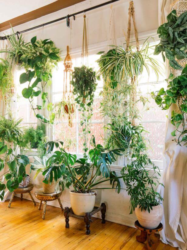 indoor fairy garden ideas