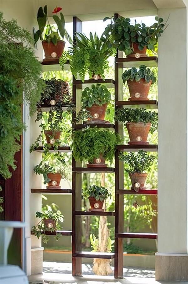 indoor garden wall ideas
