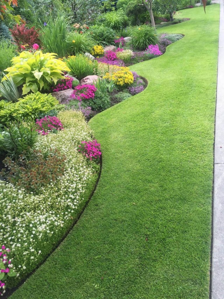 modern lawn edging ideas