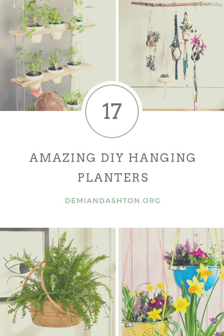 Amazing DIY Hanging Planters