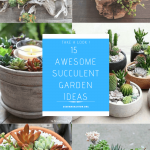 15 Awesome Succulent Garden Ideas for Uniqueness in Your Garden