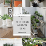 15 Best Herb Garden Ideas to Have Fresh Herbs on Hand