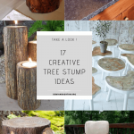 17 Creative Tree Stump Ideas That Will Blow Your Mind