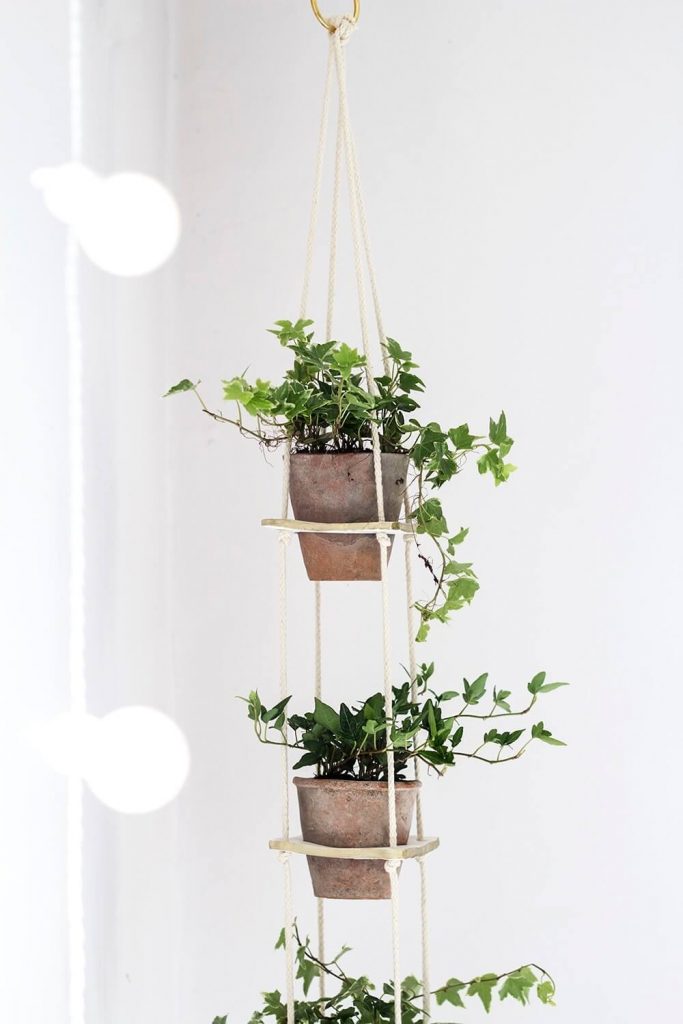 hanging planters indoor diy