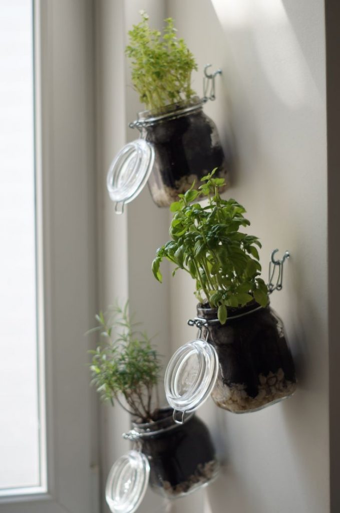 herb garden ideas for small spaces