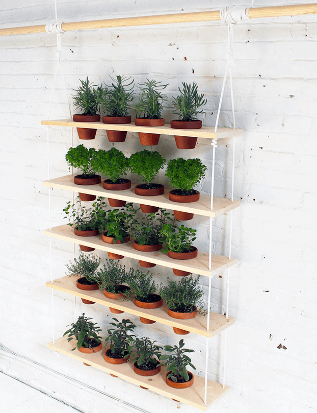 herb garden ideas indoor