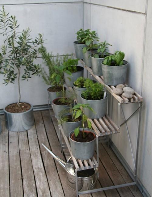 herb garden ideas pots