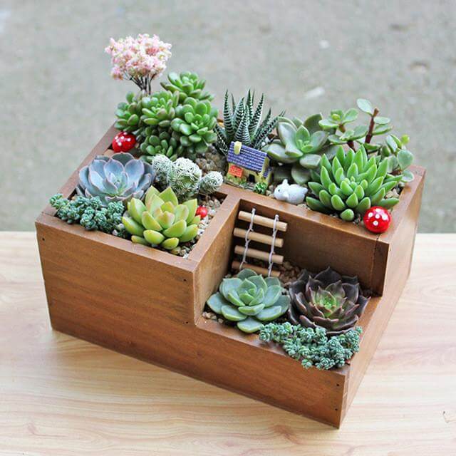small succulent container garden ideas