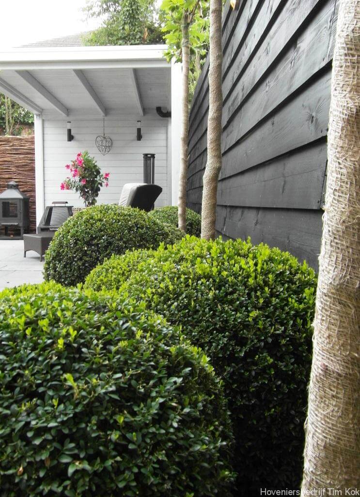 black wooden fence ideas