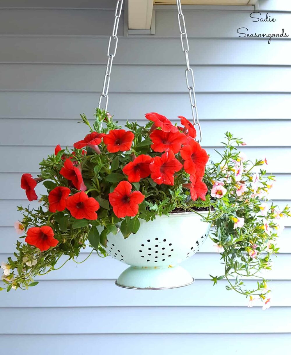 creative flower pot ideas