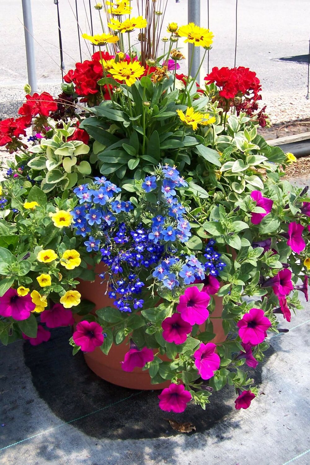 garden flower pot ideas