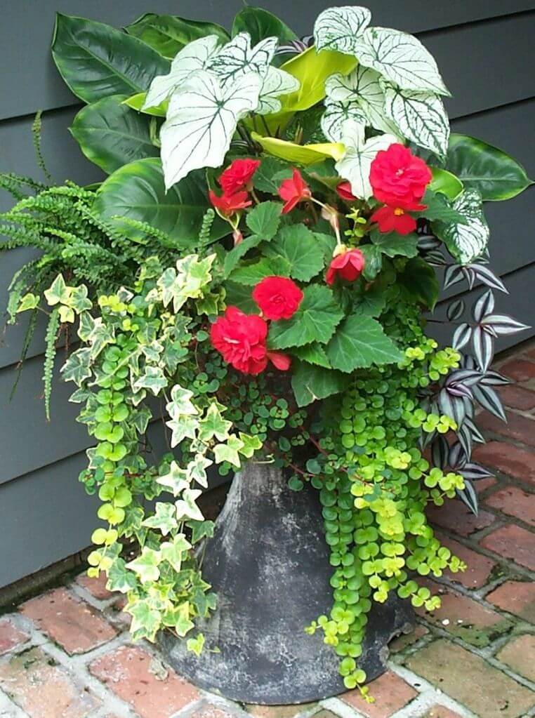 outdoor flower pot ideas pinterest