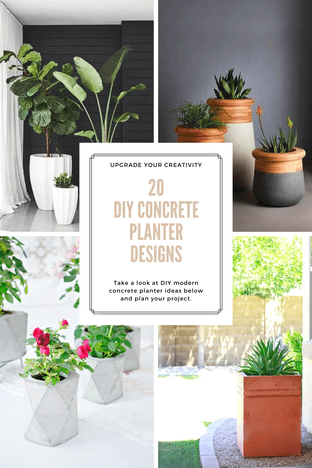 DIY Concrete Planter Designs