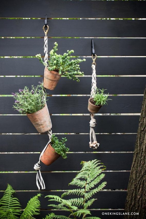 DIY Hanging Succulent Garden