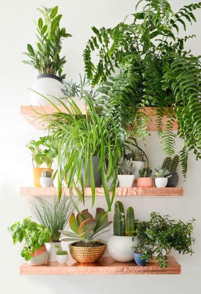 Greenery Modern Wall Shelving Ideas for Small mini garden