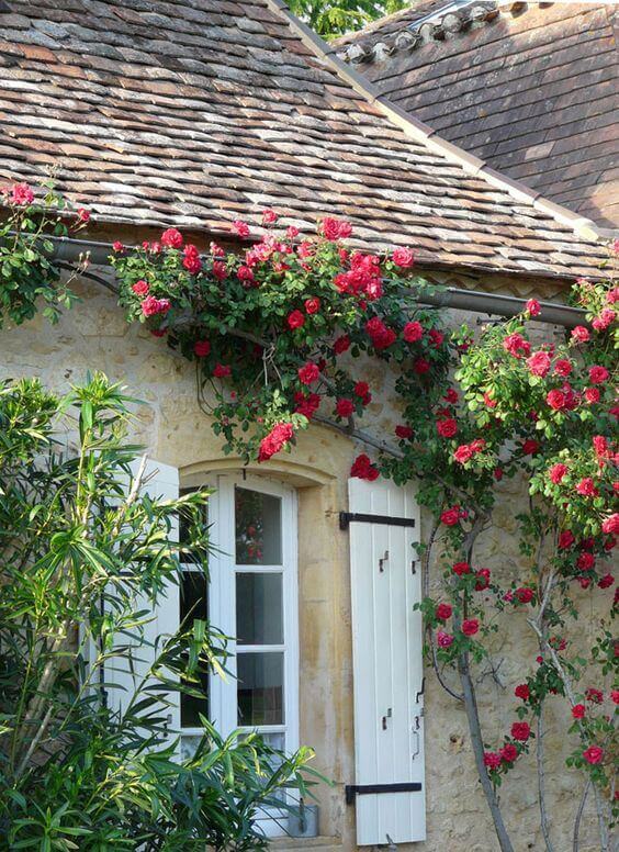 French Country Decor Let The Roses Climb Up The Wall - Harptimes.com