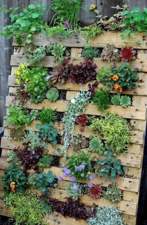 Nice Ideas to Grow Plants Vertically on Front Yards - Harptimes.com