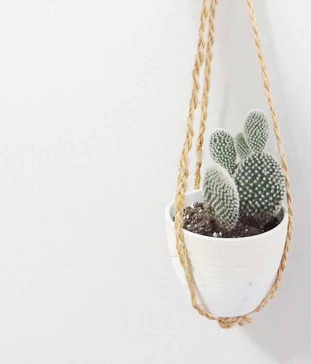 DIY Hanging Planters Sweet and Chic
