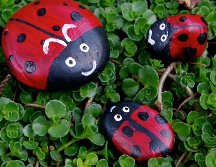 Rock Painting Ideas for Insects