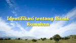 Identifikasi tentang Bisnis Rumahan