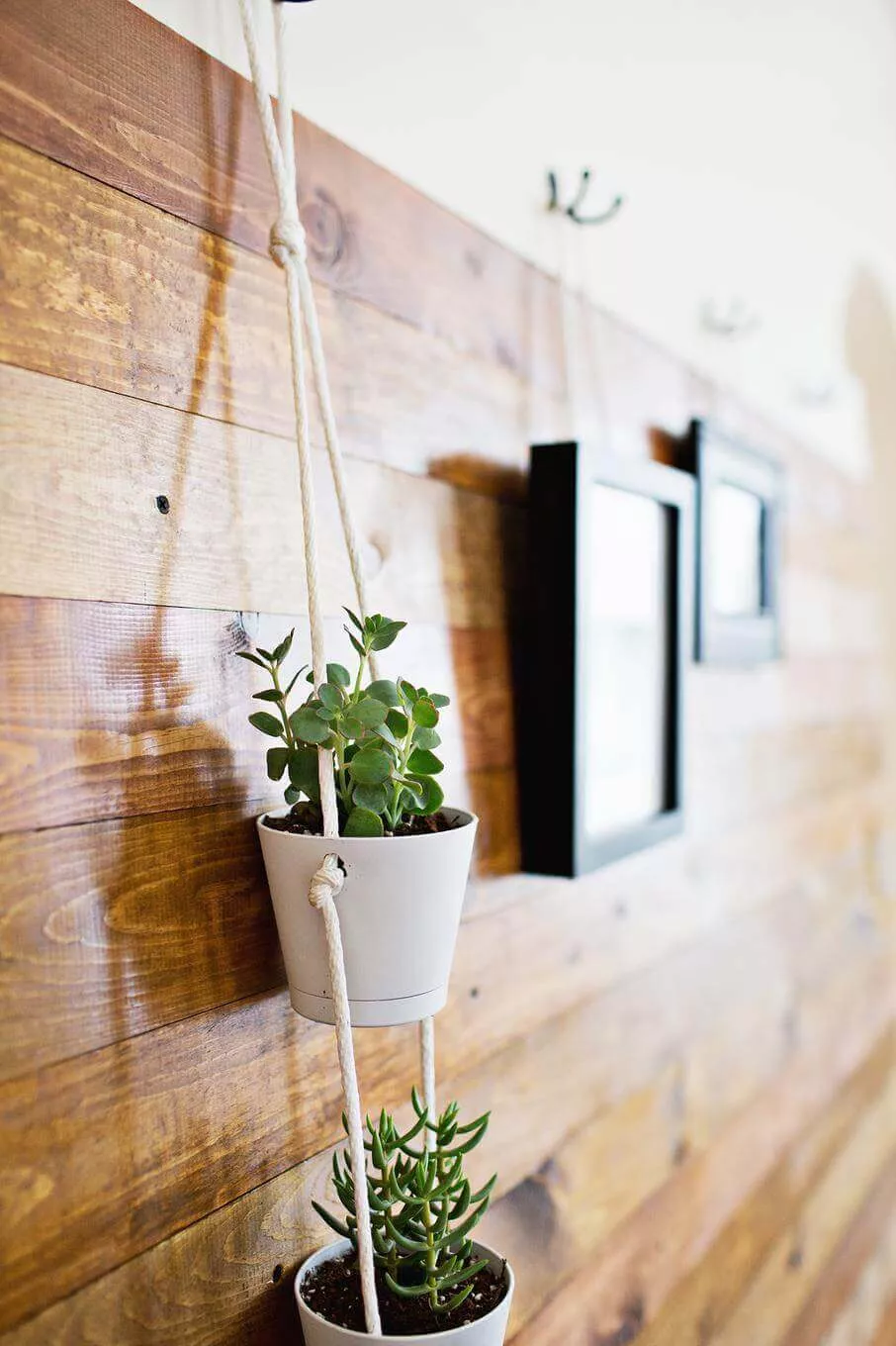 Stained Wood Accent Wall Ideas