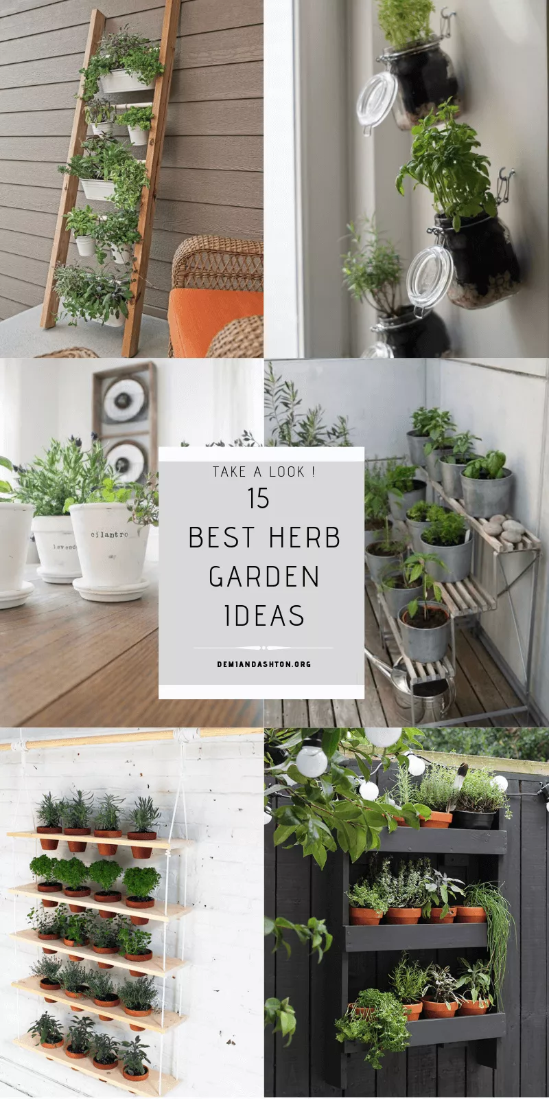 Best Herb Garden Ideas