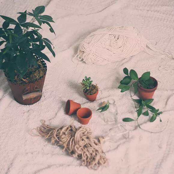 hanging planters rope