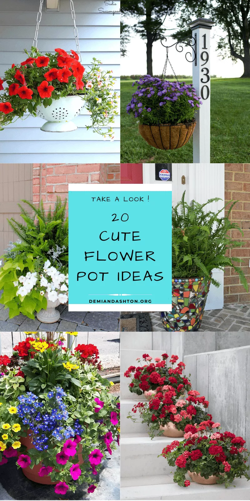 Cute Flower Pot Ideas